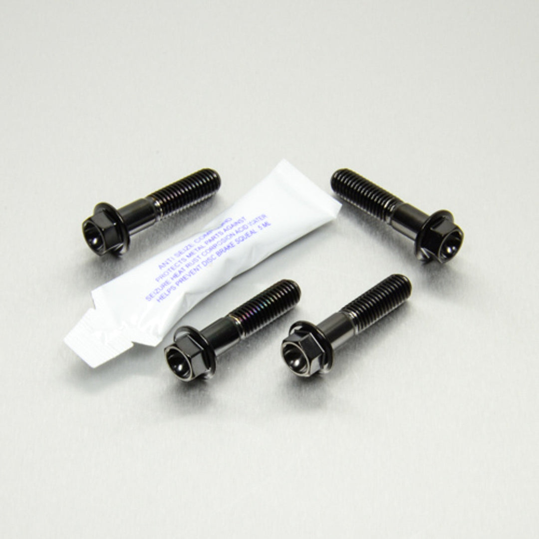 PRO BOLT Stainless Steel Pillion Footrest Hanger Bolt Kit (SSPREST340BK)