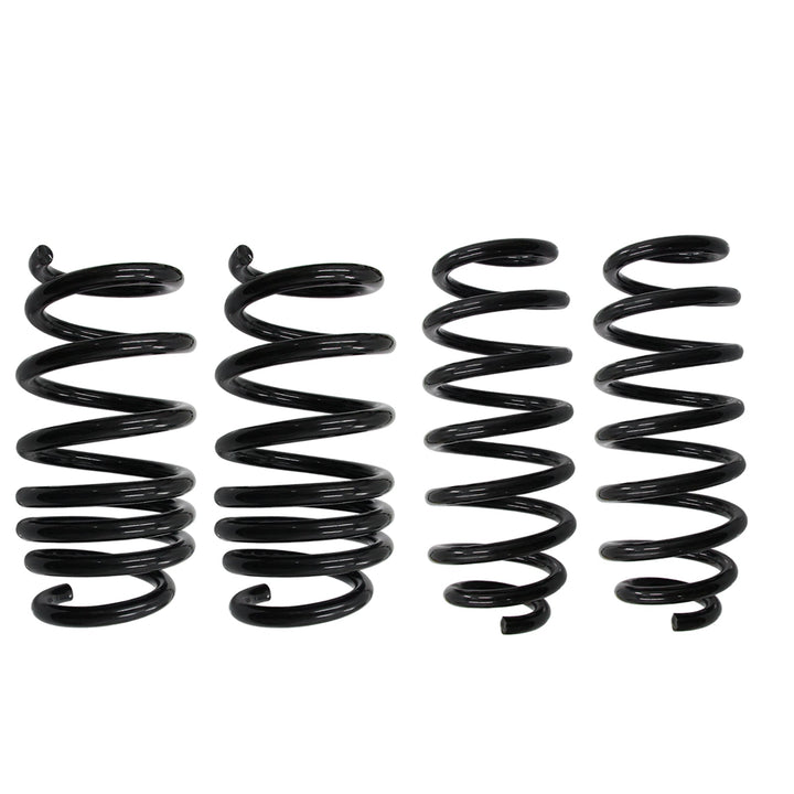 2017-22 Tesla Model 3 Racing Front Rear Lowering Springs Suspension kit US