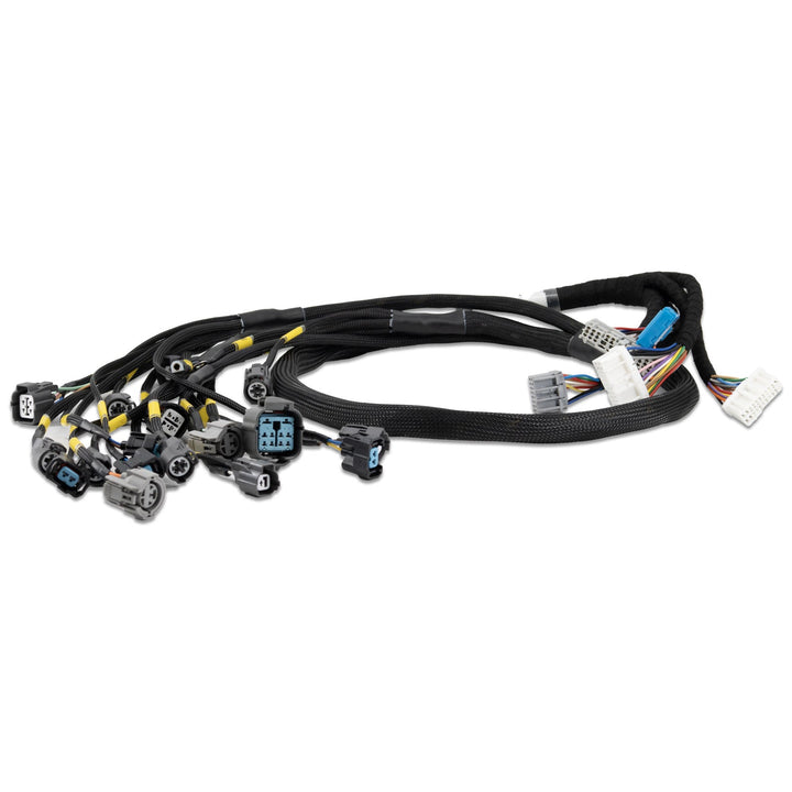 OB D1 D Series B Series Tucked Engine Harness Honda Prelude 92-96 H F Series US